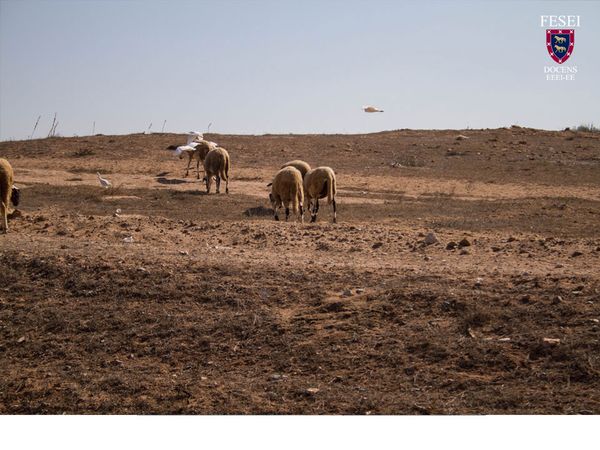 Fotos Marruecos