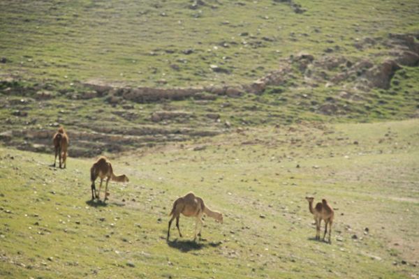 Fotos Israel